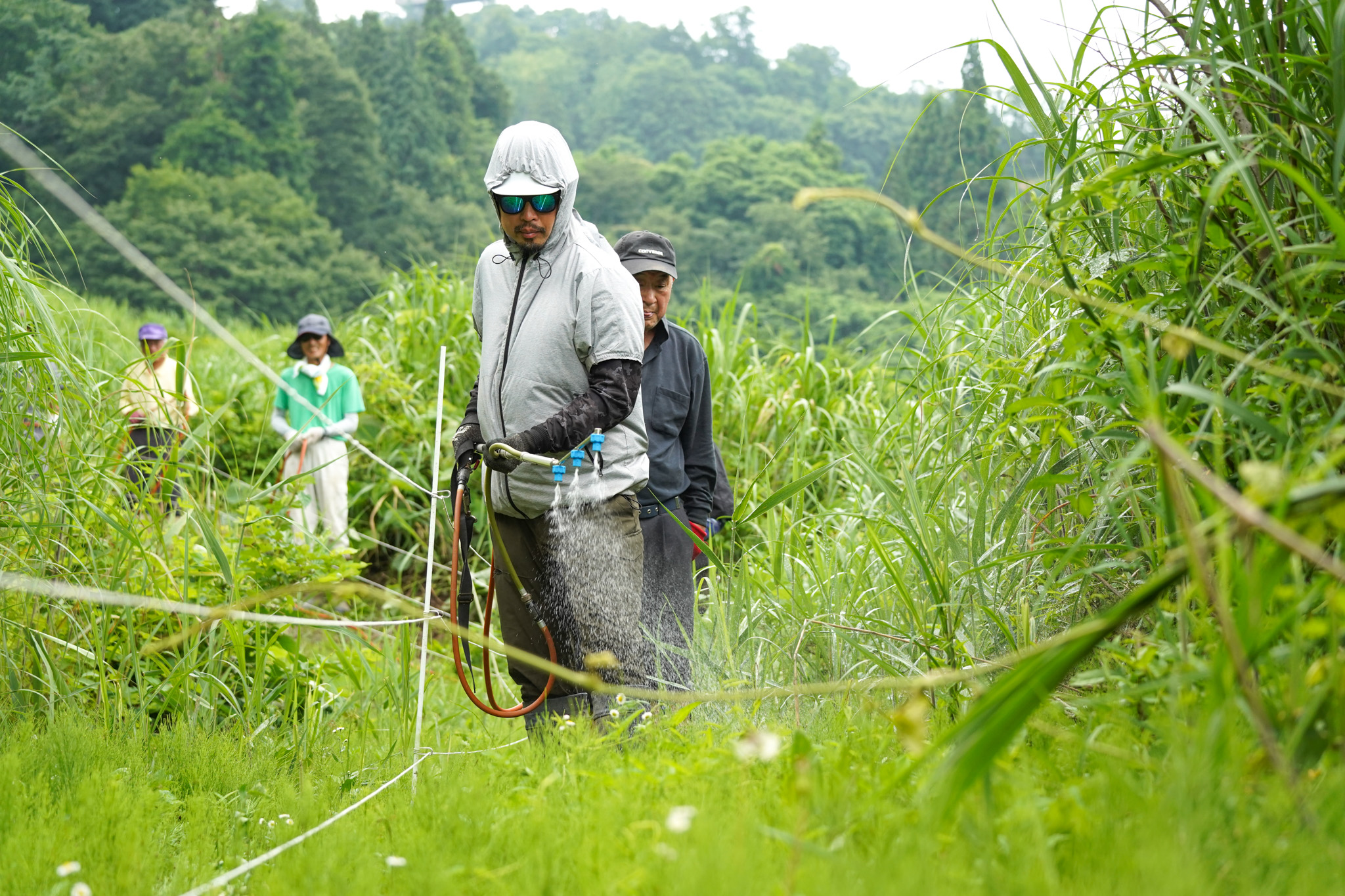 除草剤散布作業を行う地域住民