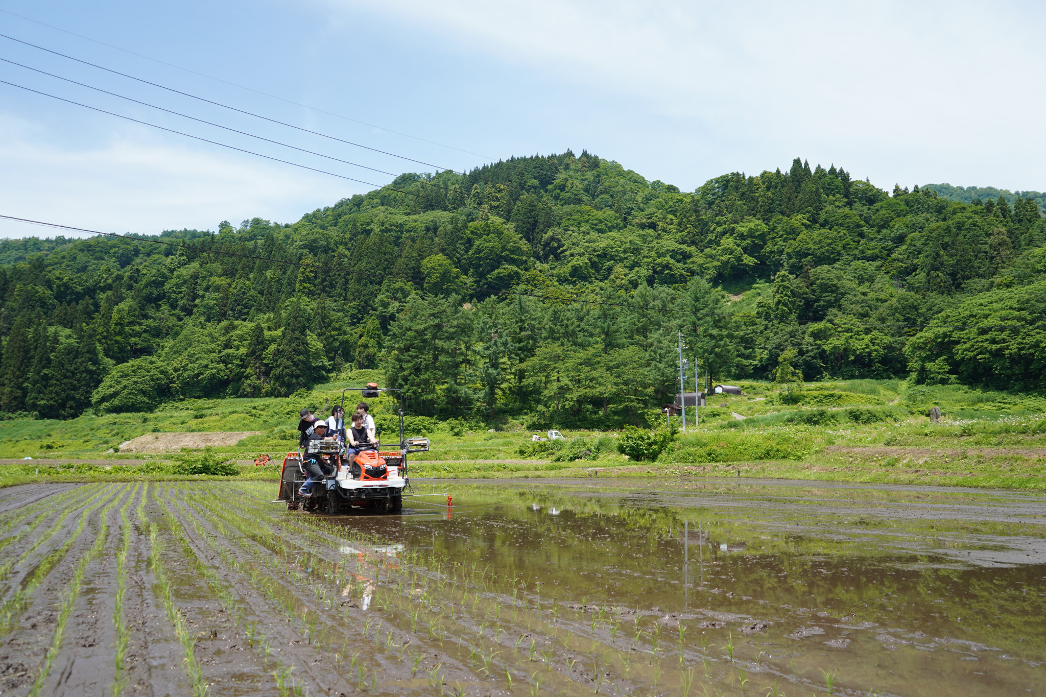 田植え作業を行う田んぼの風景